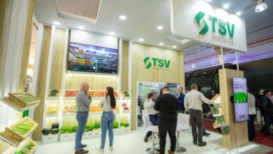 Foto de Nova TSV Sementes consolida reposicionamento com portfólio ampliado e foco em inovação