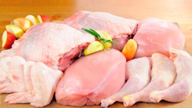 Foto de Oferta equilibrada e boa reposição mantêm estabilidade nos preços da carne de frango no Brasil