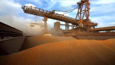 Foto de Exportações de milho do Paraná disparam 179% e superam queda nas vendas de soja