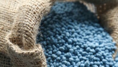 Foto de Trump elimina tarifas e altera dinâmica dos fertilizantes