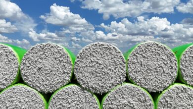 Foto de StoneX reduz em 1% previsão para safra de algodão 2025/2026 do Brasil