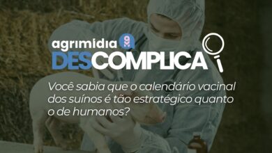 Foto de Você sabia que o calendário vacinal dos suínos é tão estratégico quanto o de humanos?