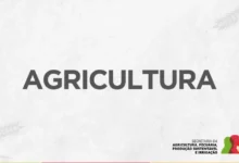 Foto de Assembleia aprova novas taxas de fundos para fortalecer defesa sanitária animal do Estado