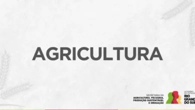 Foto de Representantes do RS se reúnem com o governo federal para tratar de novas medidas de renegociação das dívidas dos produtores