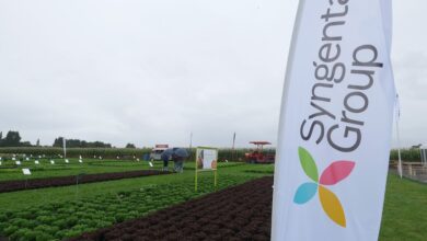 Foto de Syngenta estuda IPO em Hong Kong após cancelar listagem em Xangai, dizem fontes