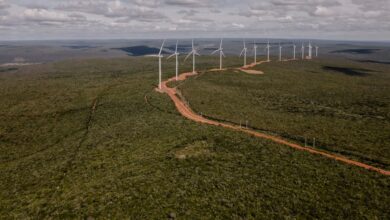 Foto de Financiar emergentes é fundamental para transição climática, dizem líderes do PRI