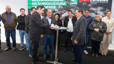 Foto de Santa Catarina oferece crédito de até R$ 70 mil para suinocultura saudável