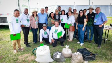 Foto de COP 30: Senar promove oficina de produção de mudas