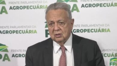 Foto de Brasil leva à COP 30 proposta de paz global por meio de agricultura sustentável