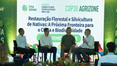 Foto de COP 30: Pavilhão AgroBrasil promove debate sobre Sistemas Florestais