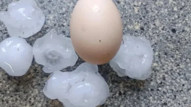Foto de Temporais desta sexta-feira começam com registro de granizo grande