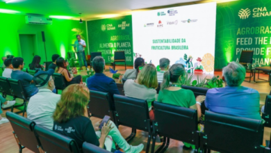 Foto de COP 30: Pavilhão AgroBrasil promove debates sobre Frutas e Cacau
