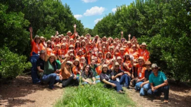 Foto de Senar promove 2º encontro da etapa nacional do CNA Jovem