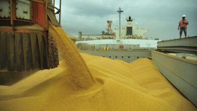 Foto de Anec eleva projeção de exportação de soja e milho
