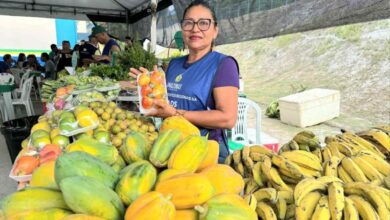Foto de Amazonas divulga programação da Feira de Produtos Regionais