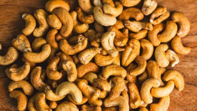 Foto de Castanha do Rio Grande do Norte recebe Indicação Geográfica