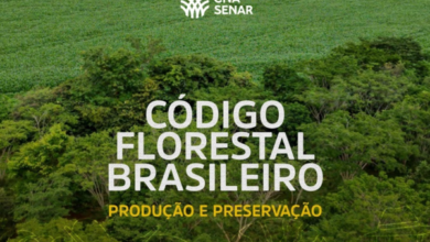 Foto de COP 30: CNA disponibiliza documento sobre o Código Florestal