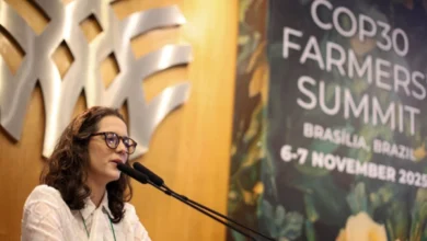 Foto de Sistema CNA/Senar promove debates sobre a sustentabilidade da pecuária brasileira