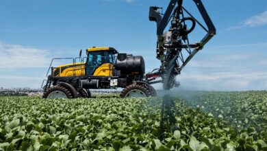Foto de Resistência a herbicidas avança e já afeta 273 espécies