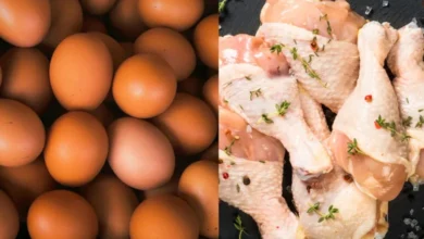 Foto de União Europeia confirma em carta oficial o retorno do pre-listing para estabelecimentos brasileiros de carne de aves e ovos