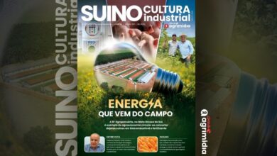 Foto de Inovação e sustentabilidade marcam a edição de novembro da Suinocultura Industrial