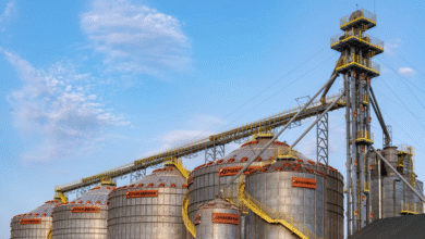 Foto de Fusão Kepler Weber e GSI pode criar gigante de armazenagem de grãos com Quase 42% do mercado brasileiro