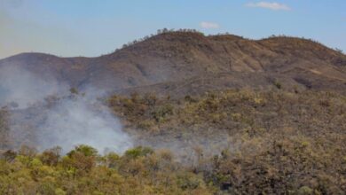 Foto de Queimadas em unidades de conservação recuam