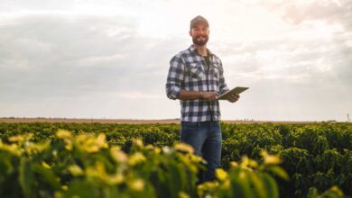 Foto de Comissão de Agricultura aprova projeto que isenta produtores rurais de imposto de renda