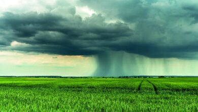 Foto de Seguro rural brasileiro deveria seguir modelos de Espanha e EUA, diz FGV Agro