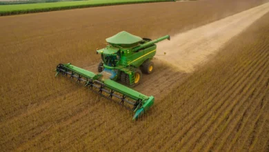 Foto de Para a SLC, balanço global de soja vai ficar mais apertado