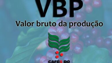 Foto de Café brasileiro atinge recorde histórico de R$ 114,86 bilhões em 2025 e consolida maior receita da série, aponta MAPA