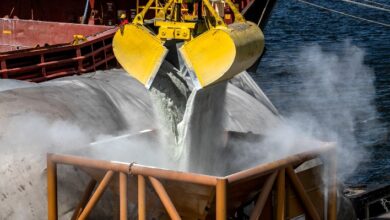 Foto de China ultrapassa Rússia e assume liderança nas vendas de fertilizantes ao Brasil, aponta CNA