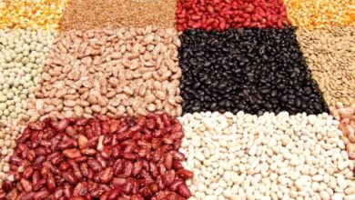 Foto de Falta de liquidez trava mercado do feijão e impede formação de preços no Brasil