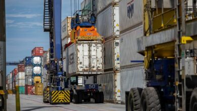 Foto de Exportações de carne bovina do Brasil crescem 59% em volume e 80% em faturamento na primeira semana de dezembro