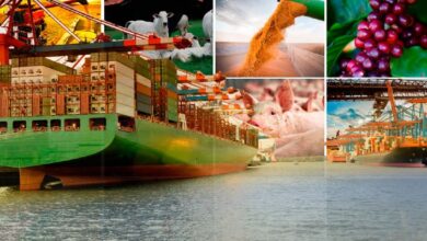 Foto de Exportações do agronegócio somam US$ 13,4 bilhões em novembro e crescem 6% em relação a 2024, aponta Itaú BBA