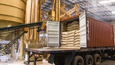 Foto de Exportações de café do Brasil recuam 26,7% em novembro, mas receita sobe com alta dos preços internacionais