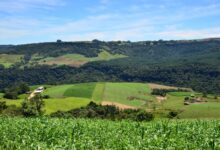 Foto de Coopera Agro SC é aprovado na Alesc e promete fortalecer cooperativas e agroindústrias catarinenses