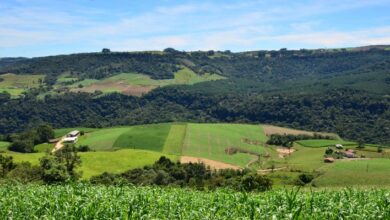 Foto de Coopera Agro SC é aprovado na Alesc e promete fortalecer cooperativas e agroindústrias catarinenses