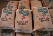 Foto de Produtores dosam ritmo de vendas e comercialização de café atinge 69% da safra 2025/26