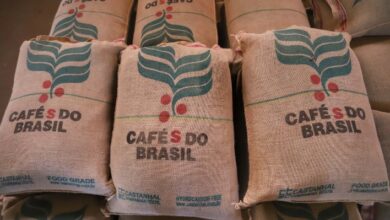 Foto de Produtores dosam ritmo de vendas e comercialização de café atinge 69% da safra 2025/26