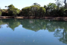 Foto de Como sojicultores adotam práticas agrícolas que ajudam a recuperar mananciais?