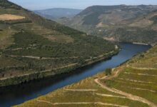 Foto de país busca mostrar diferenças que vão do Alentejo ao Douro