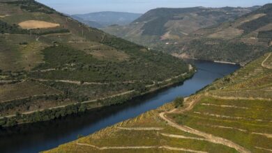 Foto de país busca mostrar diferenças que vão do Alentejo ao Douro