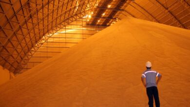 Foto de Déficit de armazenagem redefine mercado de grãos no Brasil em meio à safra recorde, diz consultoria