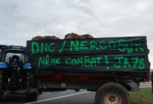 Foto de Parlamento da UE aprova medidas de proteção ao agro e mira acordo com o Mercosul