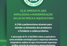 Foto de CNA avalia que PL traz avanços para o desenvolvimento da aquicultura no país
