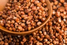 Foto de Aberturas de mercado nos Emirados Árabes Unidos, em Gana e no Peru