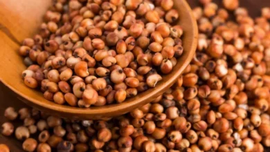 Foto de Aberturas de mercado nos Emirados Árabes Unidos, em Gana e no Peru