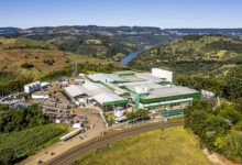 Foto de Ecofrigo exporta para a Malásia e reforça operação de 6.500 suínos/dia com faturamento acima de R$ 1 bilhão do Grupo Bugio