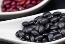 Foto de Clima e preços devem reduzir produção de feijão, avalia indicador Cepea/CNA